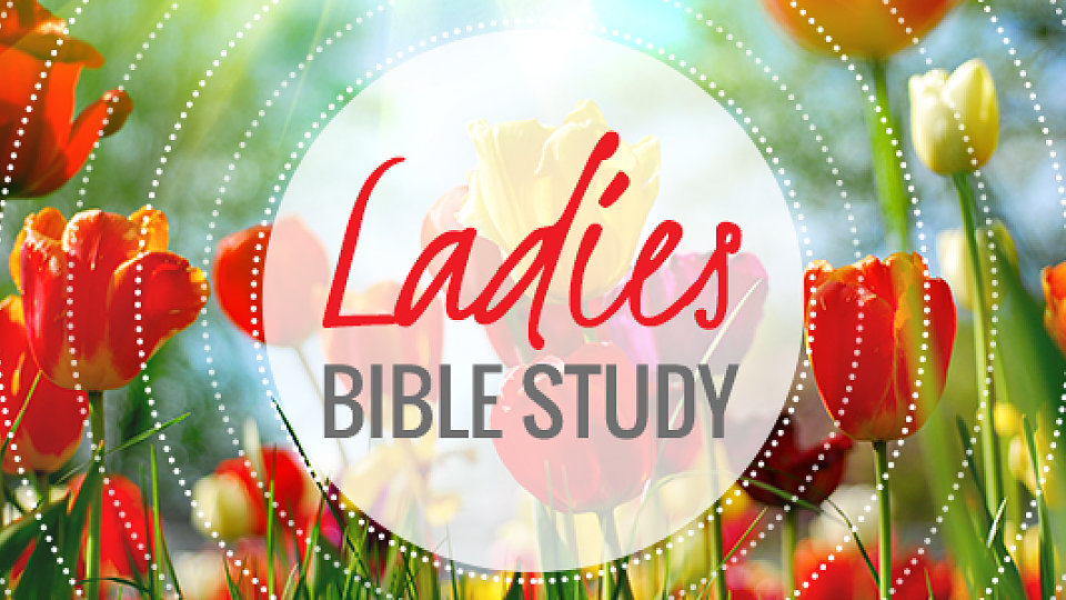 /images/r/ladies-bible-study/c960x540g8-0-542-300/ladies-bible-study.jpg