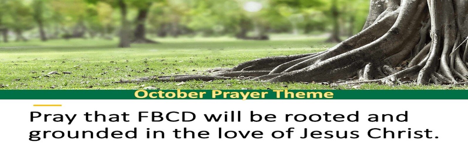 /images/r/october-prayer-theme/c1594x510/october-prayer-theme.jpg